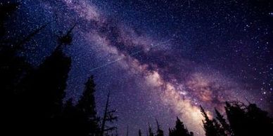 Night Watch Image