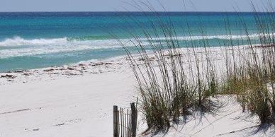 Sea Shore image