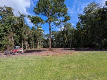 Cleared land with a lone tree and a small bulldozer under a blue sky.
