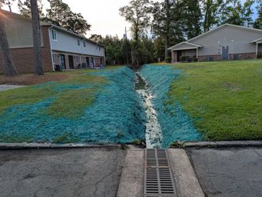 Hydroseeded grass along a drainage ditch near residential buildings.