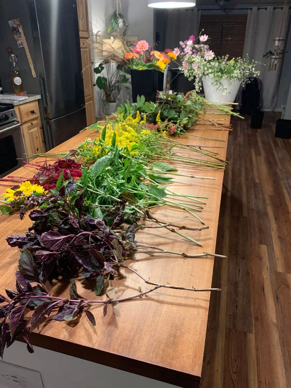 Conditioned blooms ready for making bouquets