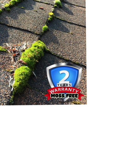 Roof shingles with green moss growing between them and a 2-year moss-free warranty badge.