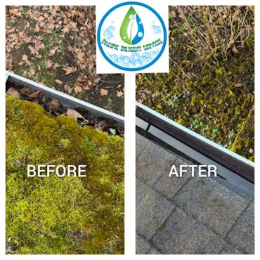 Side-by-side comparison of mossy ground before and after cleaning.