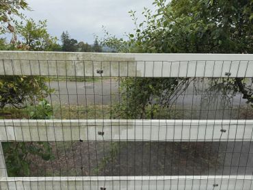 A dirty white fence with wire mesh and greenery behind.