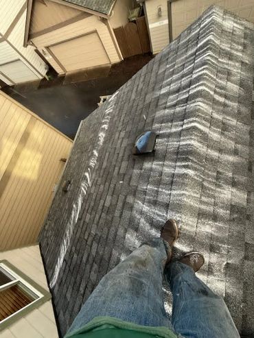 roof moss treatment done by pacific diligent services