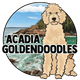 Acadia Goldendoodles