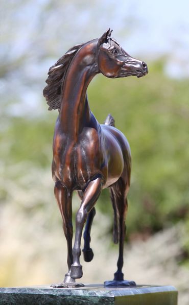Arabian stallion in bronze finished in bay bronze patina.
