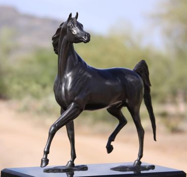 Black Arabian horse statue by equine and figurative bronze sculptor, J. Anne Butler