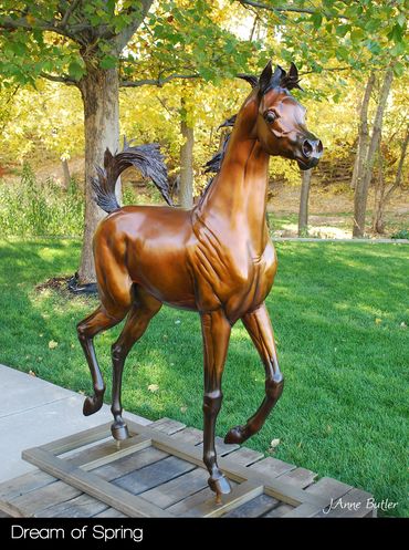 Dream of Spring bronze statue of Arabian filly, life-sized.