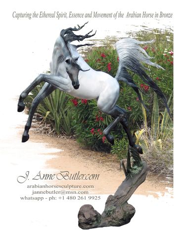 Arabian horse bronze in grey patina at life size scale.