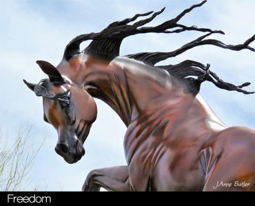 Horse statue in bay bronze patina.