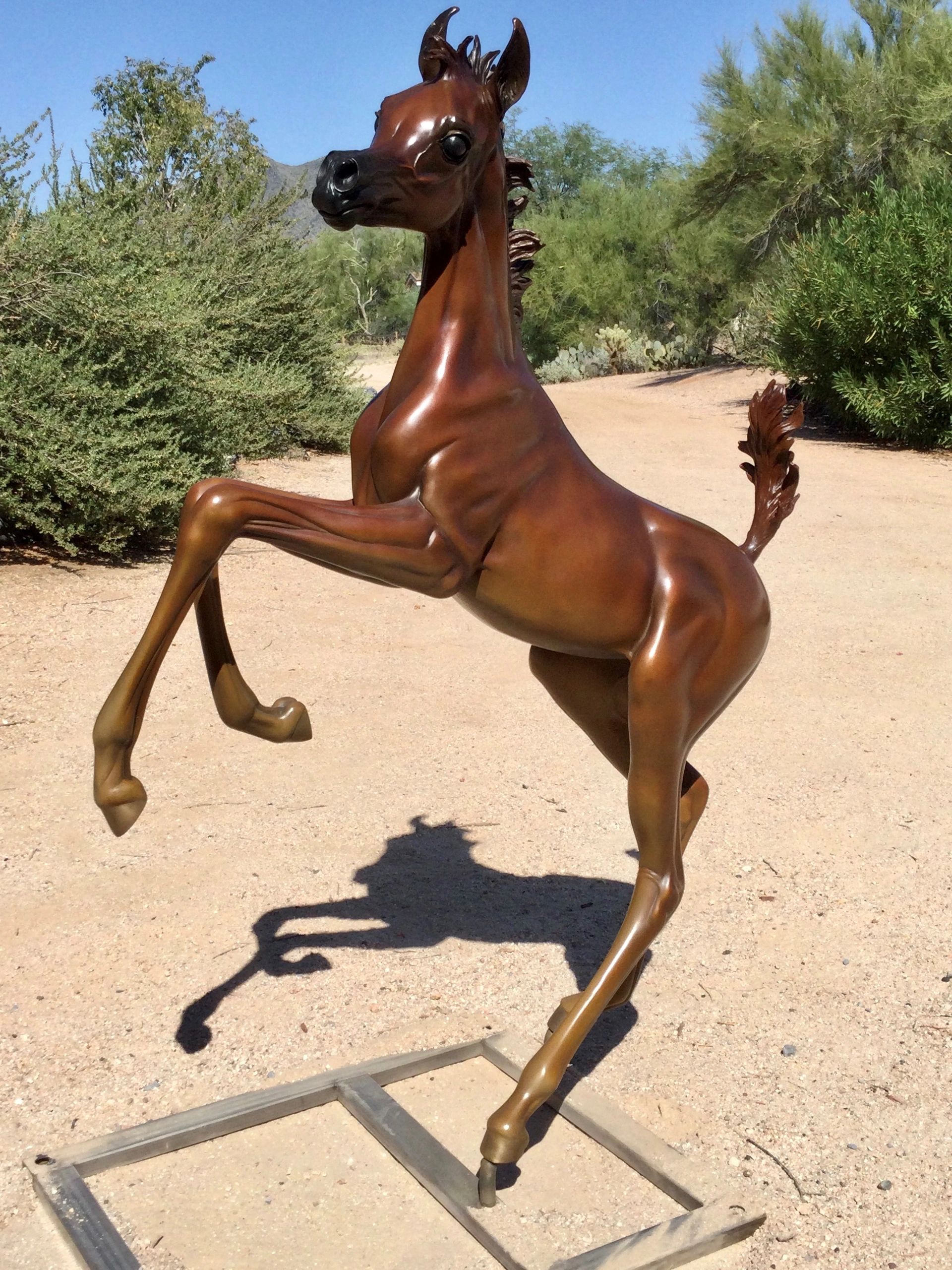Layla life size bronze foal in chestnut patina 