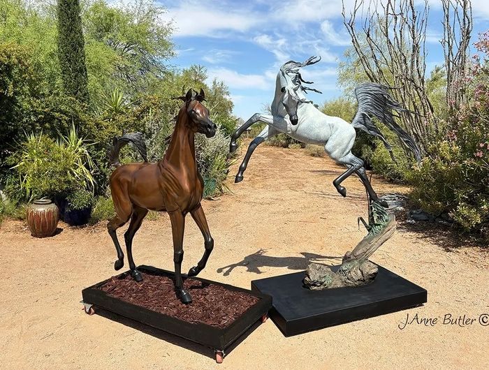 Life size bronze Arabian Horse Sculptures