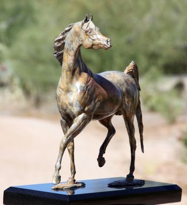 Arabian horse bronze statue at H 12.5", H 32 cm.