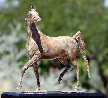 Bronze stallion statue by equine and figurative bronze sculptor, J. Anne Butler.