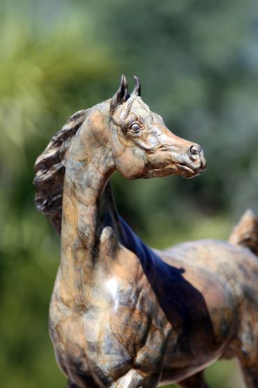 Equestrian bronze statue in unique contemporary bronze patina by J. Anne Butler