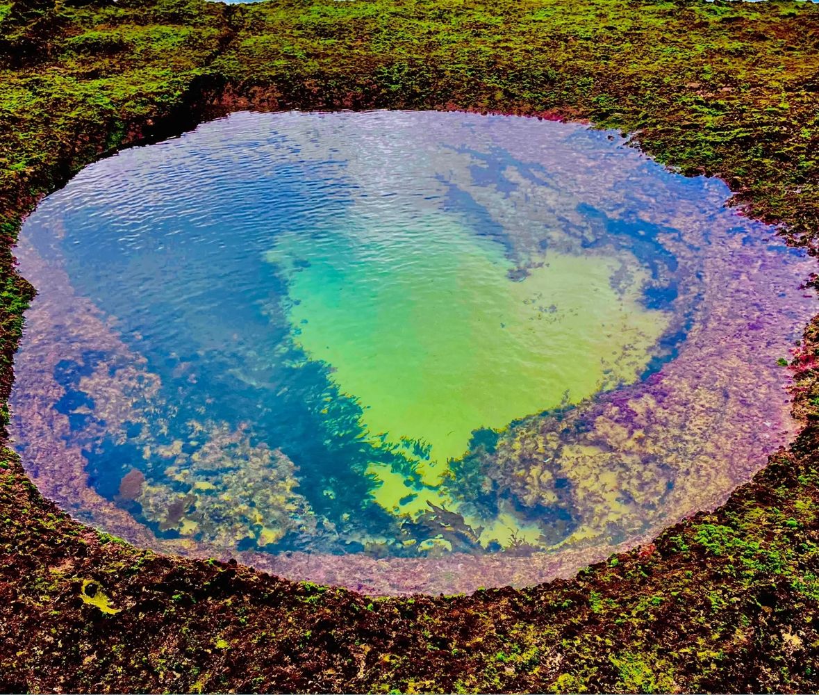 Stack of books next to pencils in a holder and a camera.
