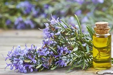 Rosemary Essential Oil