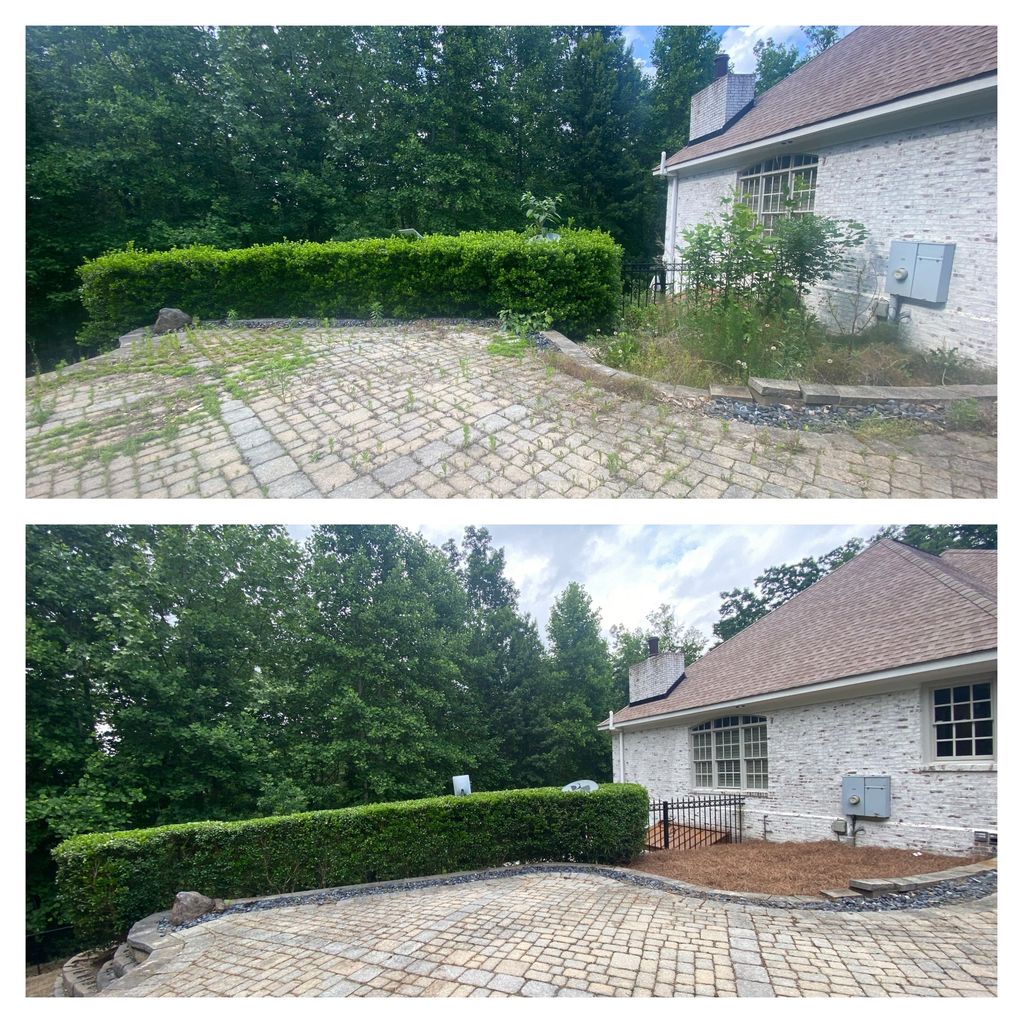 Overgrown hedges and milkweed encroaching on the house taken care of with our landscape services