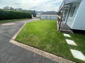 A well-maintained lawn next to a white house with a paved driveway.