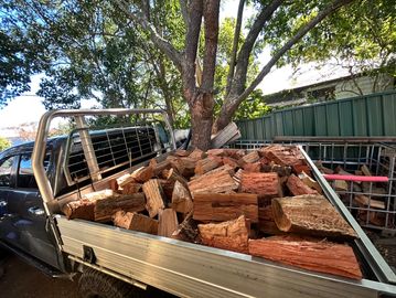 A pickup truck loaded with chopped firewood under a tree.