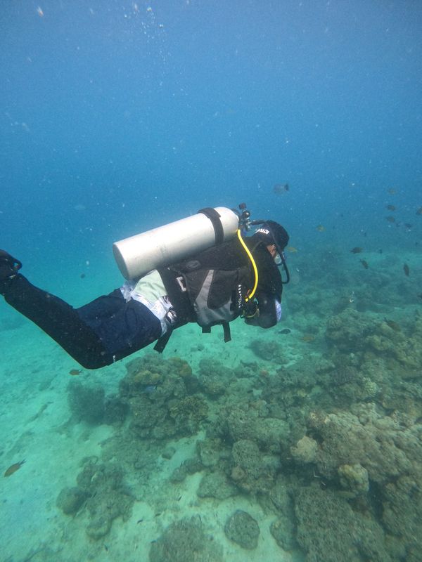 Scuba diver exploring a coral reef underwater.