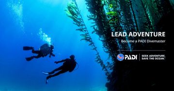 Two divers explore a kelp forest promoting PADI Divemaster training.