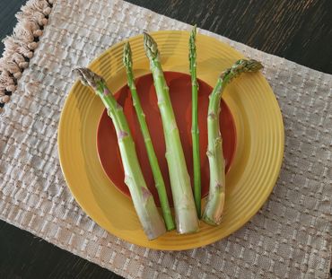 Fresh green asparagus spears arranged on colorful plates.