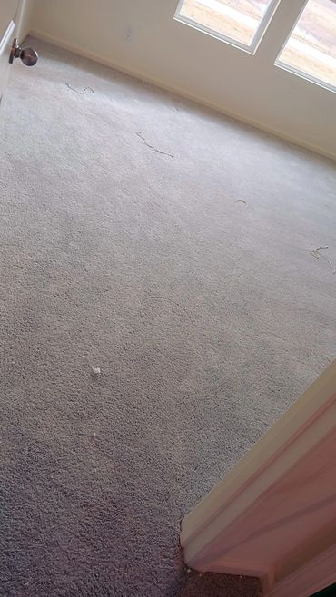 Empty room with stained carpet and large windows.