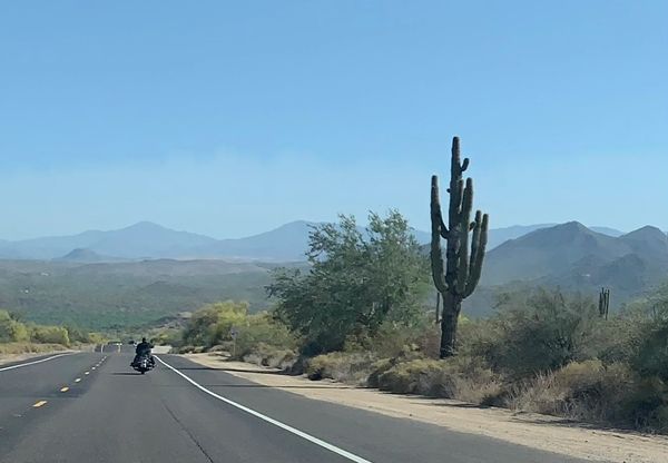 Motorcyclist rides on a desert road with cacti and mountains ahead.