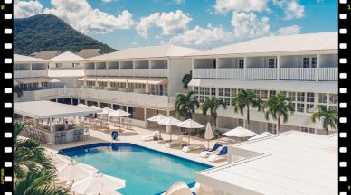 Bright resort pool area with palm trees and lounge chairs.