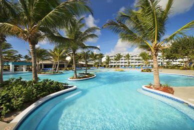 Resort swimming pool with palm trees and sunny blue sky.