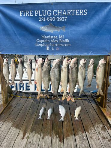 Good day on Lake Michigan! Many species caught...Chinook Salmon, Coho Salmon and Lake Trout.