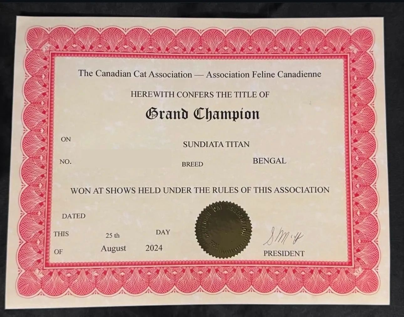 CCAFC Grand Champion Award