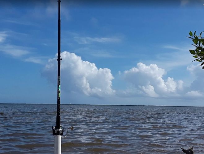 Wavecritter Charters Florida East Coast Fishing In Shore Fishing