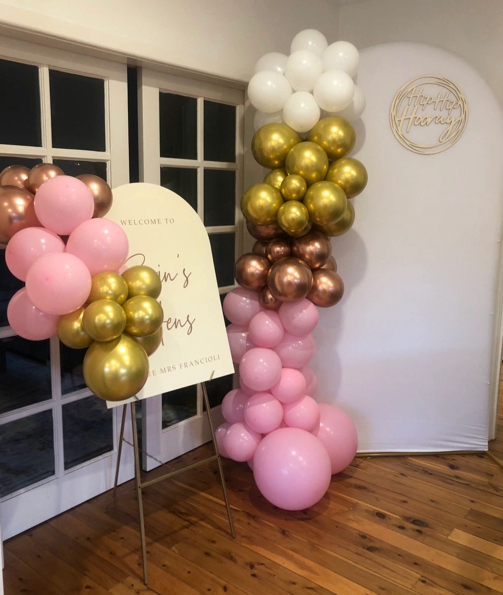 ALBURY WODONGA BALLOONS