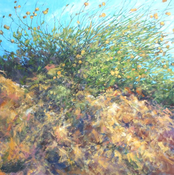 yellow flowers caught in wind on a hilltop