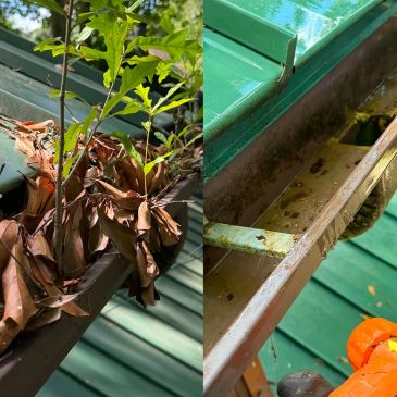 Slidell Pressure Washing and Soft Washing, Slidell Gutter Cleaning