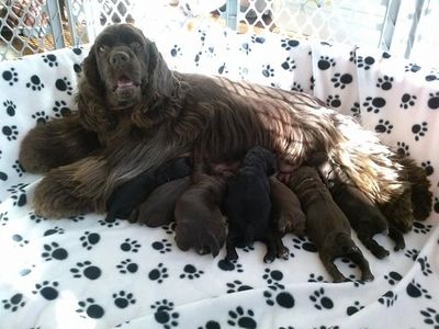 Beautiful eastern Kentucky.