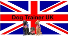 ESSEX, KENT & LONDON DOG TRAINING - "DOG TRAINER UK"