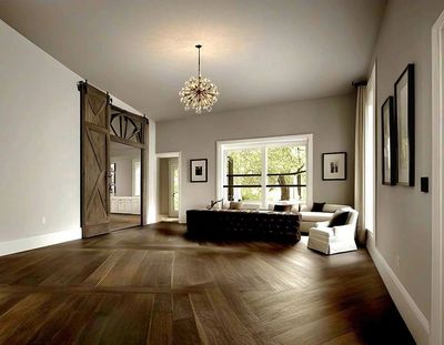 Spacious modern living room with wooden floor and large barn door.