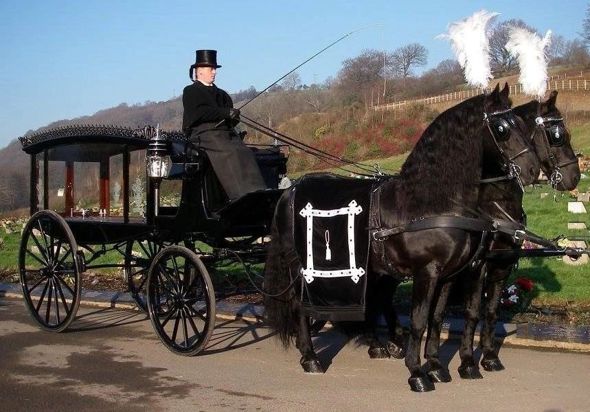 Funeral Transport Horse Drawn Hearse