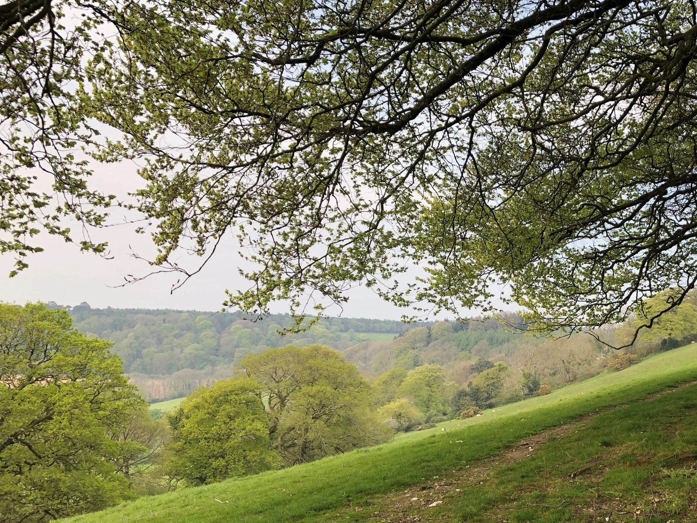 View of Cotswolds around Fairford