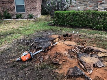 Chainsaw and hammer near a freshly cut tree stump in a backyard.
