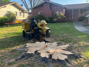 Stump grinder removing a large tree stump in a residential yard.