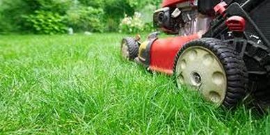 lawn mowing   landscaping    lawn care
person mowing lawn