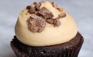 Peanut Butter Cup Cupcake
