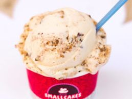 Peanut Butter Cup Ice Cream