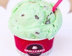 Mint Chocolate Chip Ice Cream