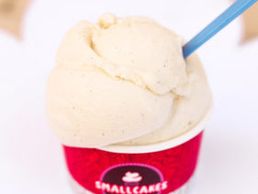 Vanilla Bean Ice Cream